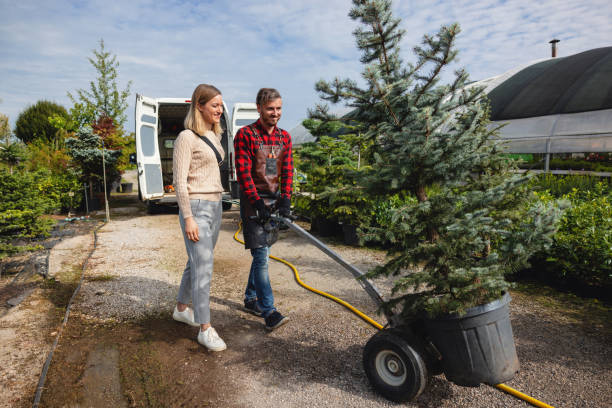 How Our Tree Care Process Works  in  Sandy Hook, CT